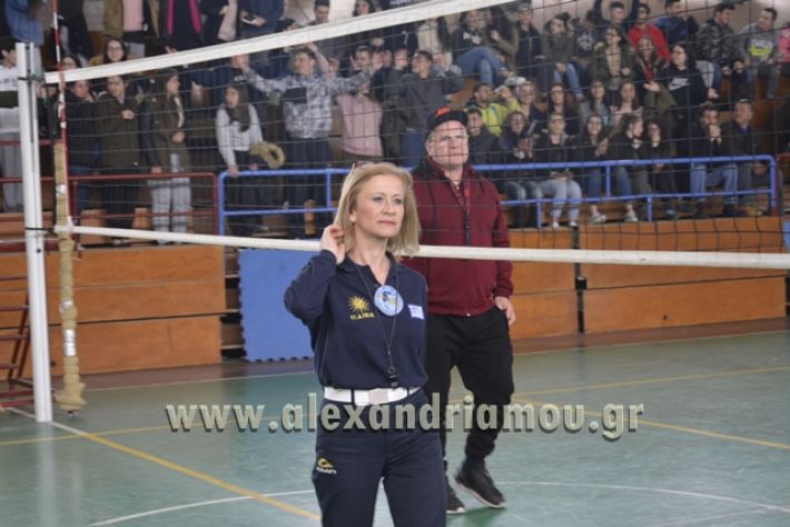 volley _1ogel-kassandra148